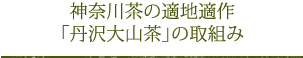 神奈川茶の適地適作