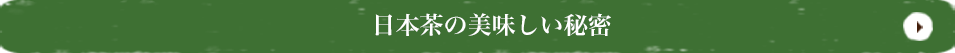 日本茶の美味しい秘密