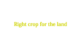 神奈川茶の適地適作